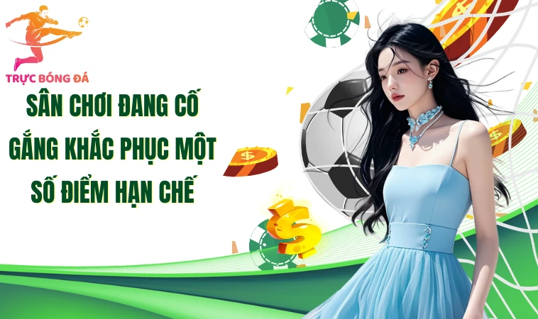 TDTC - Sân Chơi Giải Trí Quen Thuộc Với Mọi Thành Viên 2 Sân chơi đang cố gắng khắc phục một số điểm hạn chế